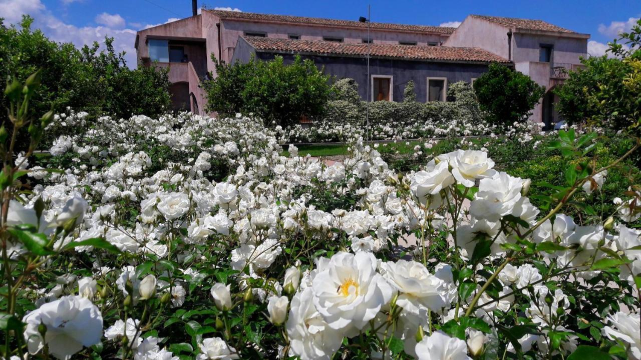 Ramo D'Aria Etna Boutique Hotel Giarre Exterior foto